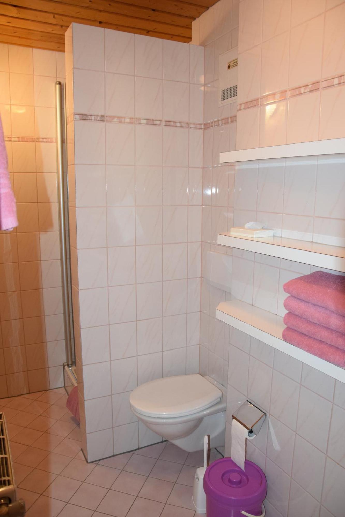 Loeschenbrandhof Apartment Mittersill Luaran gambar